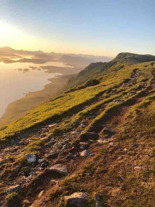 Koselig Garasjeloft! Lägenhet Langevag Exteriör bild